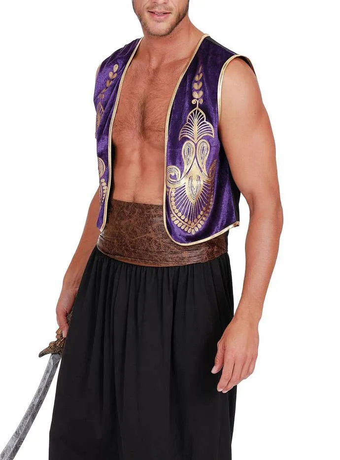 Arabian Prince Mens Deluxe Aladdin Dress Up Costume