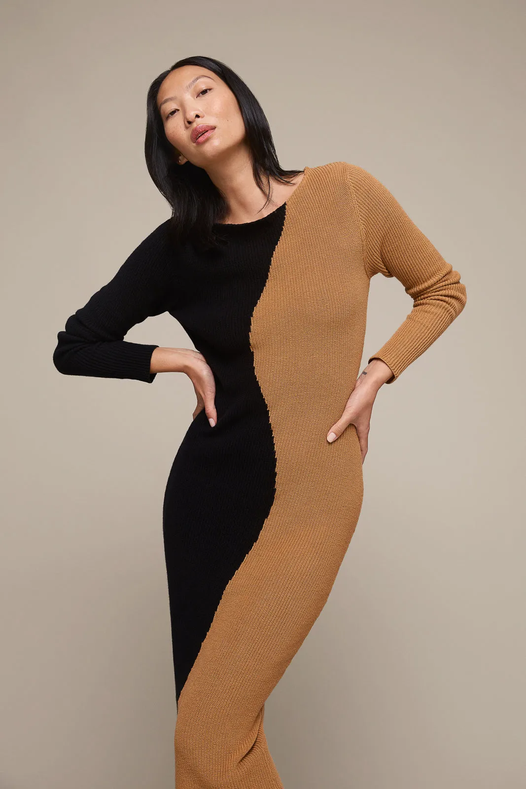 Colorblock Knit Dress (Final Sale)