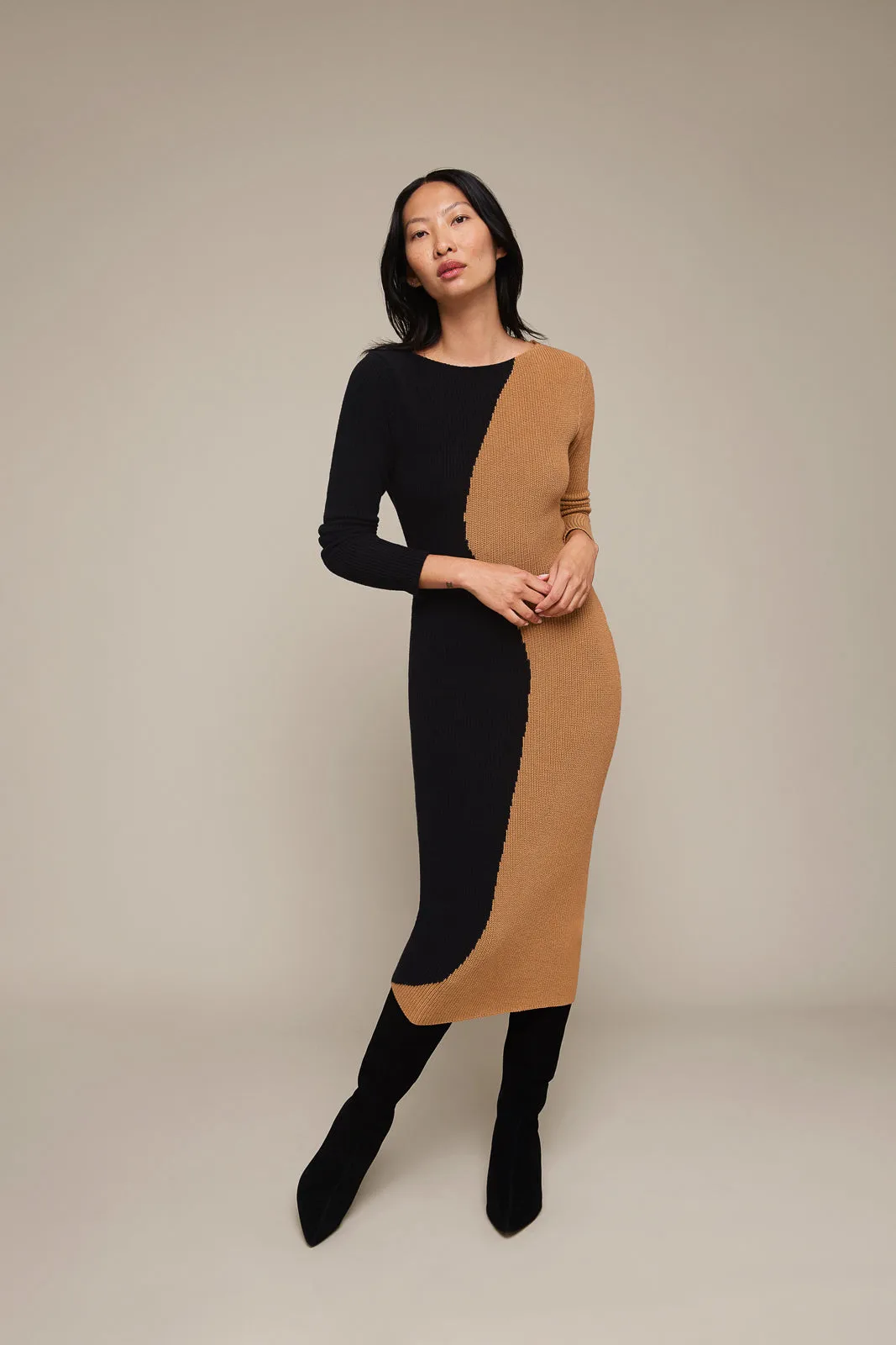 Colorblock Knit Dress (Final Sale)