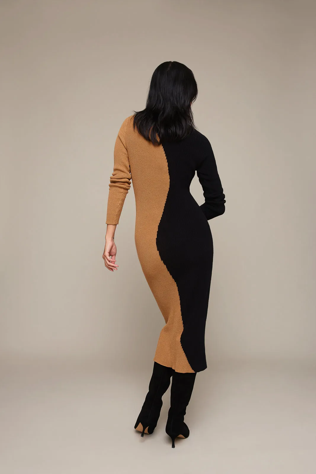 Colorblock Knit Dress (Final Sale)