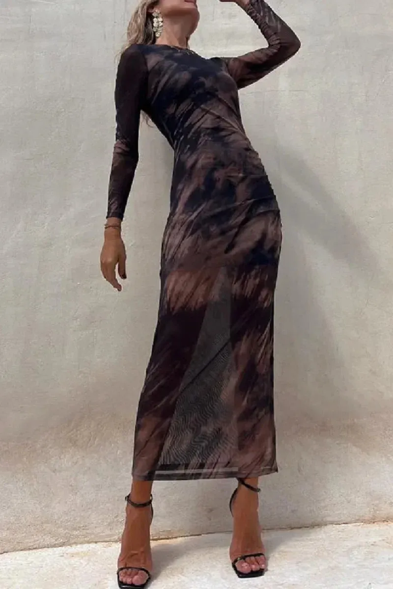 Mesh Long Sleeve Split Maxi Dress with Sexy Print