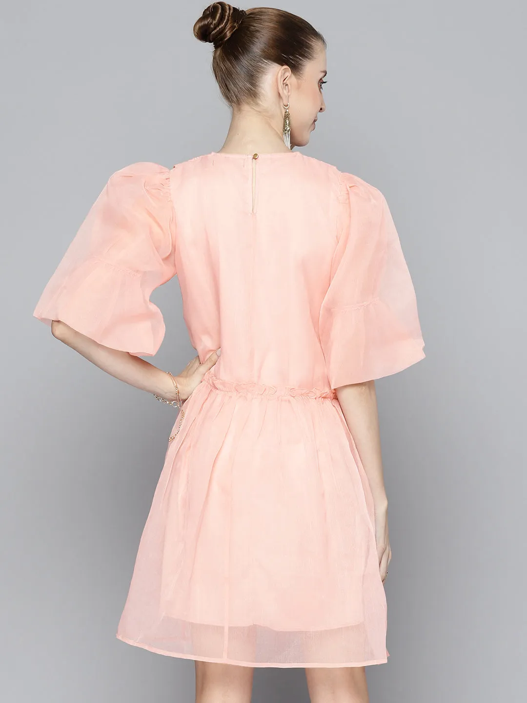 Women Pink Embroidered Collar Organza Dress